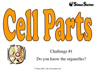 Cell Parts