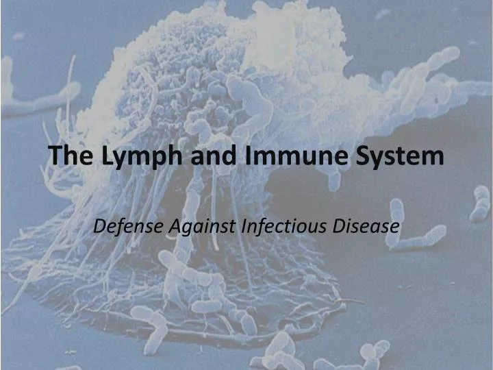 the lymph and immune system