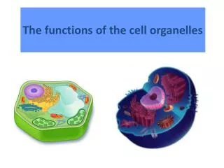 The functions of the cell organelles