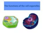 The functions of the cell organelles - slide 1