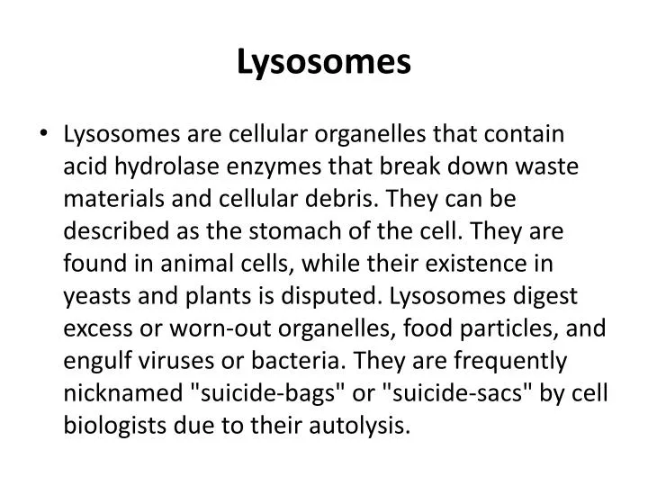 lysosomes