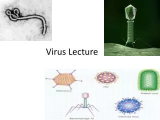 Virus Lecture