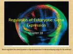 Regulation of Eukaryotic Gene Expression
