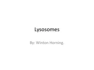 Lysosomes