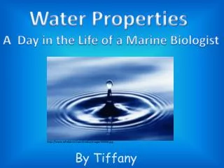 Water Properties A Day in the Life of a Marine Biologist