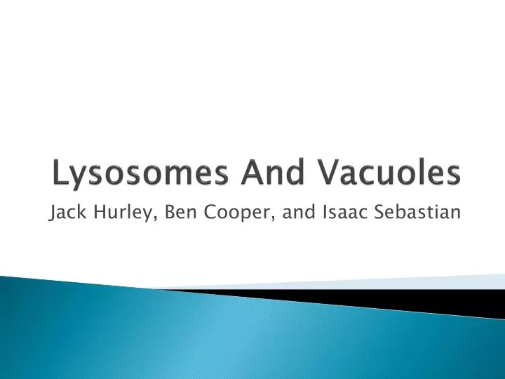 lysosomes and vacuoles
