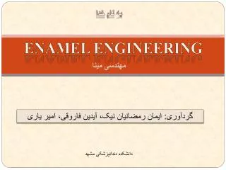 enamel engineering
