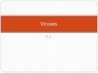 Viruses