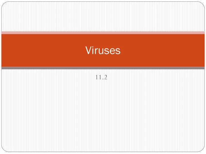 viruses