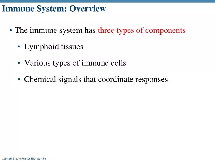 immune system overview