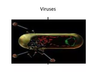 Viruses