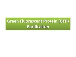 Green Fluorescent Protein (GFP) Purificaiton