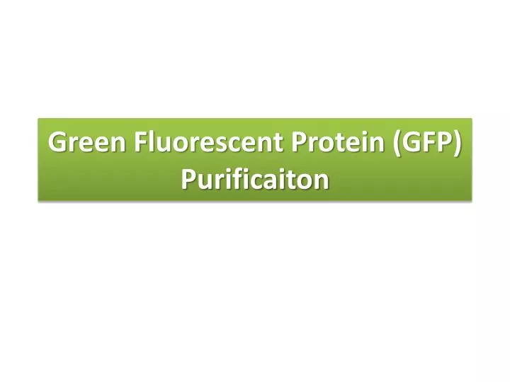 green fluorescent protein gfp purificaiton