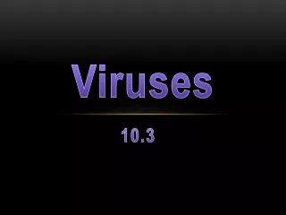 Viruses