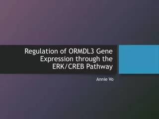 Regulation of ORMDL3 Gene Expression through the ERK/CREB Pathway