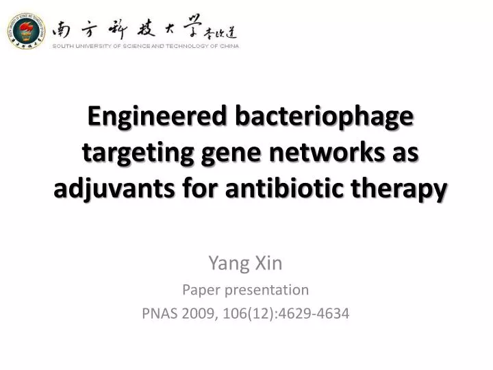 engineered bacteriophage targeting gene networks as adjuvants for antibiotic therapy