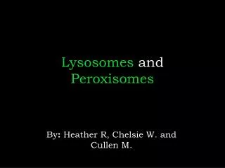 Lysosomes and Peroxisomes