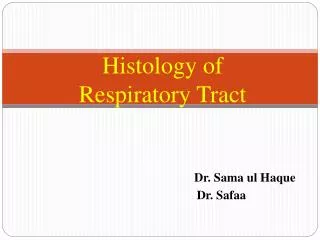 Histology of Respiratory Tract