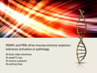 PAMPs and PRRs drive mucosa immune response : tolerance activation or pathology