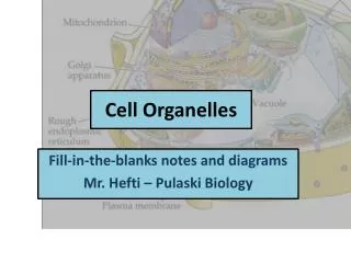 cell organelles