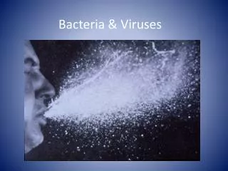 Bacteria &amp; Viruses