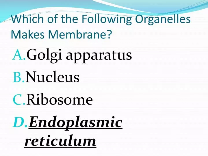 which of the following organelles makes membrane