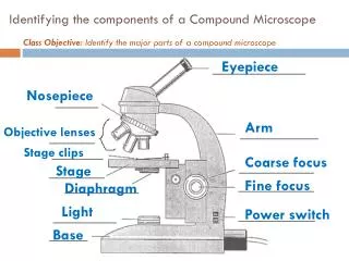 Identifying the components of a Compound Microscope