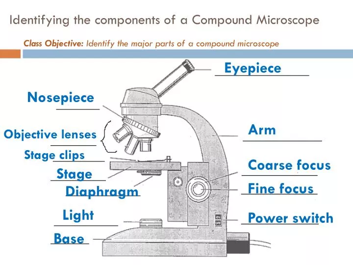 identifying the components of a compound microscope