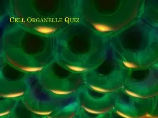 Cell Organelle Quiz