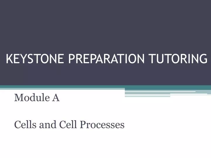 keystone preparation tutoring