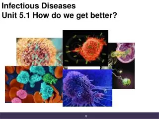 Infectious Diseases Unit 5.1 How do we get better?