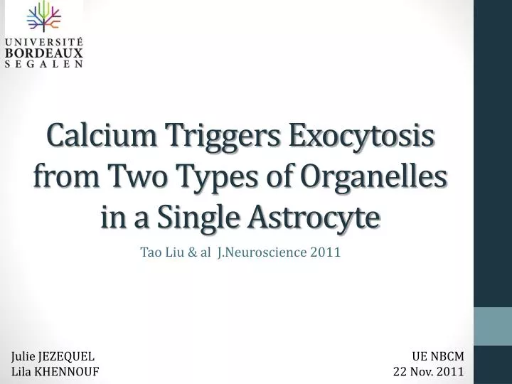 calcium triggers exocytosis from two types of organelles in a single astrocyte