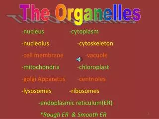 The Organelles