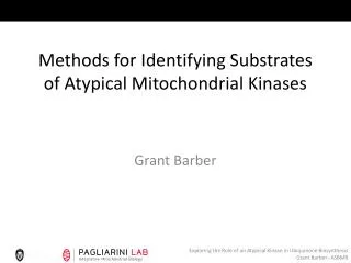 Methods for Identifying Substrates of Atypical Mitochondrial Kinases