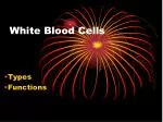 White Blood Cells - slide 1