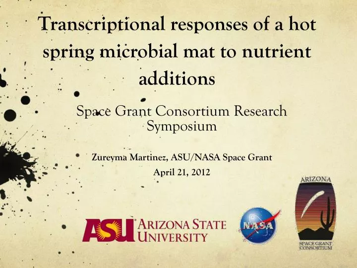 transcriptional responses of a hot spring microbial mat to nutrient additions