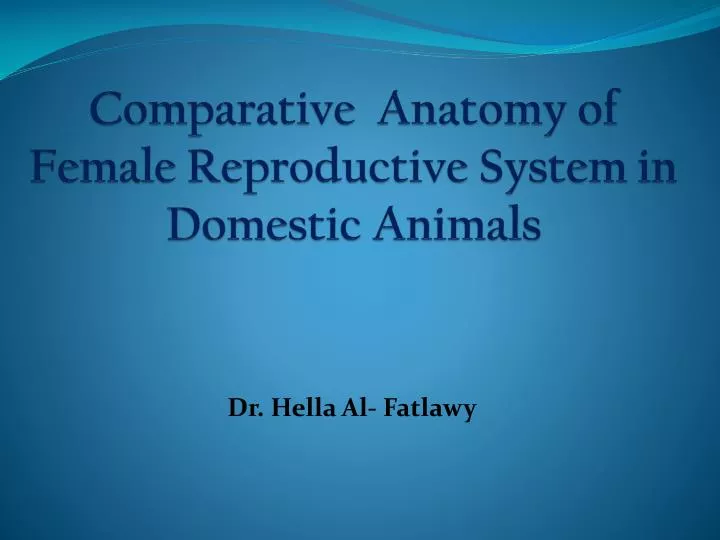 comparative anatomy of female reproductive system in domestic animals