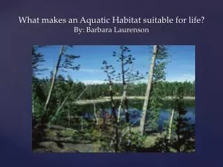 What makes an Aquatic Habitat suitable for life? By: Barbara Laurenson