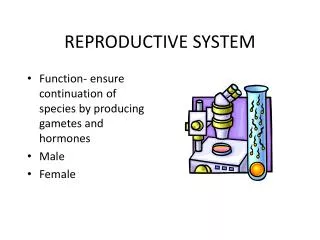 REPRODUCTIVE SYSTEM