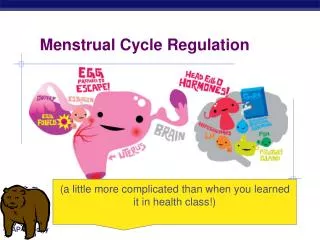 Menstrual Cycle Regulation