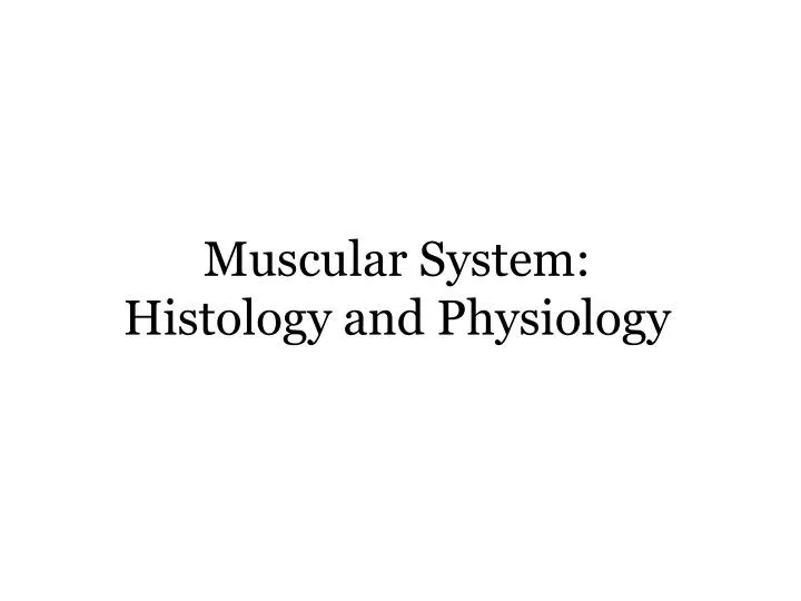 muscular system histology and physiology
