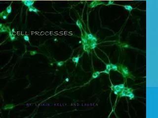 Cell Processes