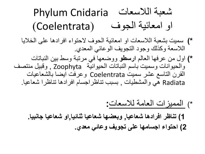phylum cnidaria coelentrata