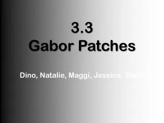 3.3 Gabor Patches