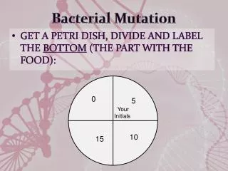 Bacterial Mutation