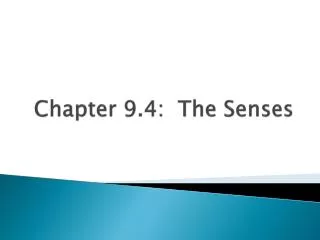 Chapter 9.4: The Senses