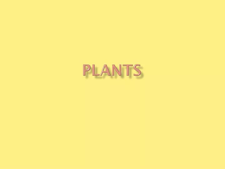 plants