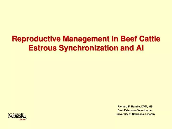 reproductive management in beef cattle estrous synchronization and ai