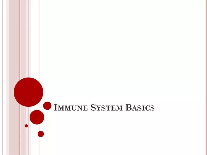 immune system basics