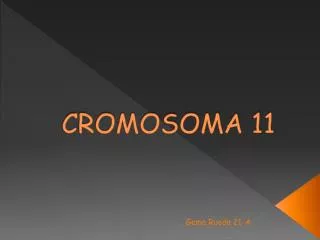 cromosoma 11
